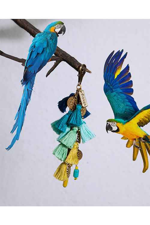 Blue Yellow Macaw Keycharm